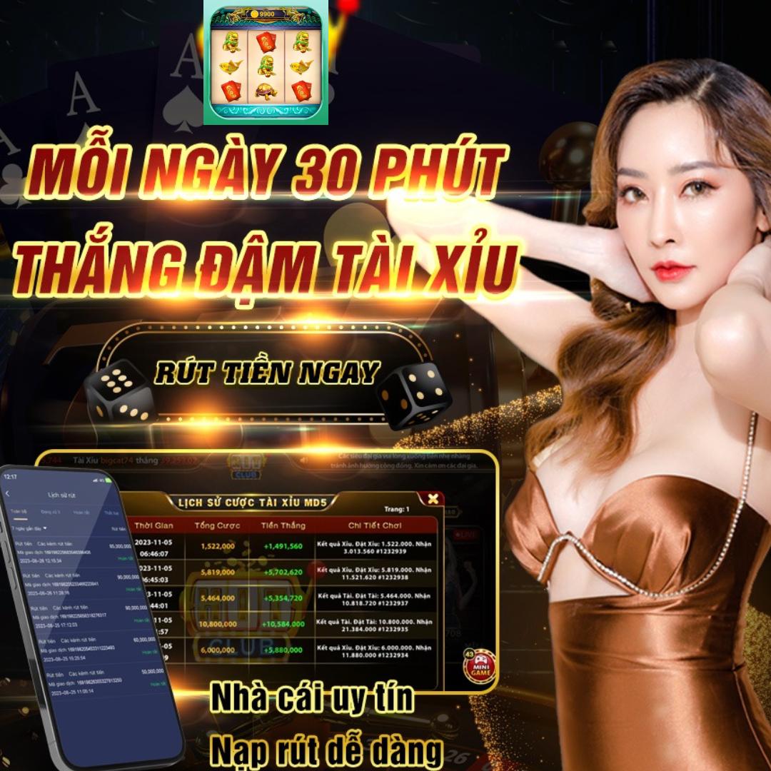 xin77
