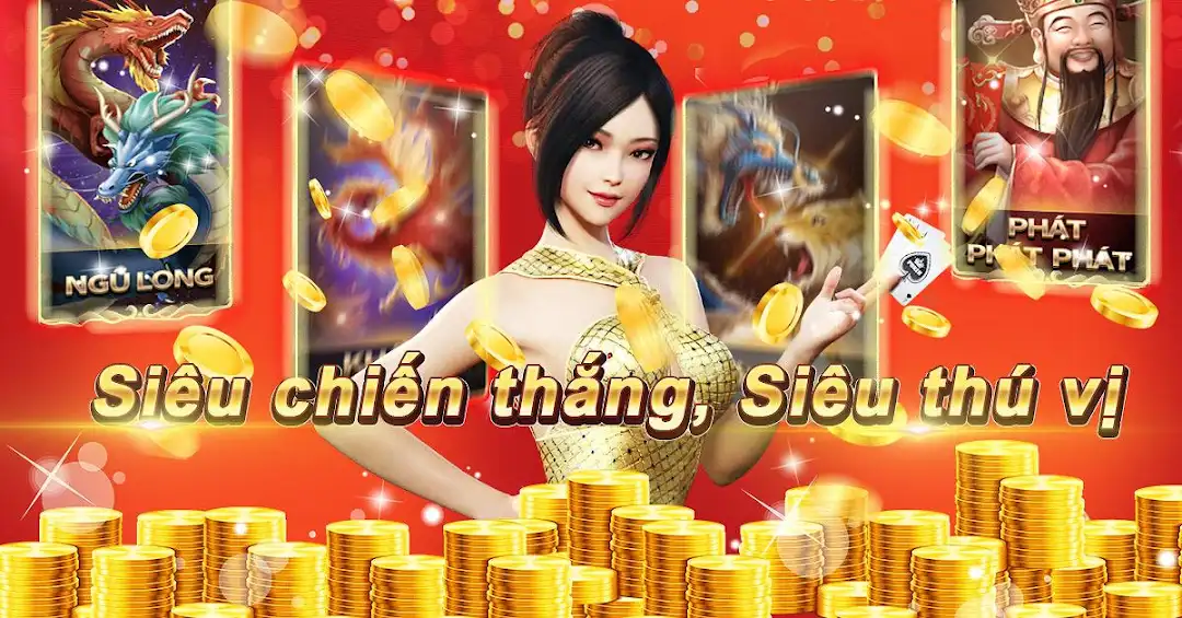xin77