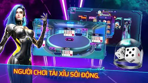 xin77