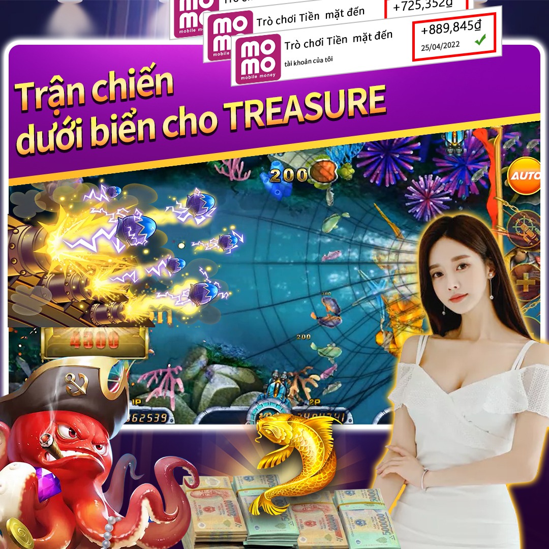 xin77